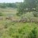 Leopard Tree Lodge - 214299