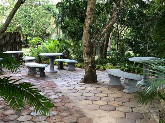 Leopard Tree Lodge - 214300