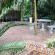 Leopard Tree Lodge - 214301