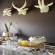 African Game Lodge - 214449