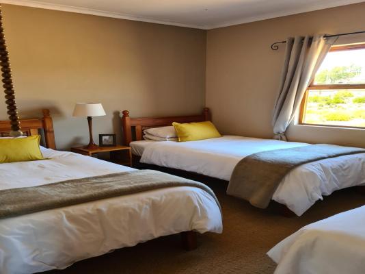 African Game Lodge - 214487