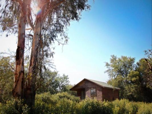 Bains Lodge - 214508
