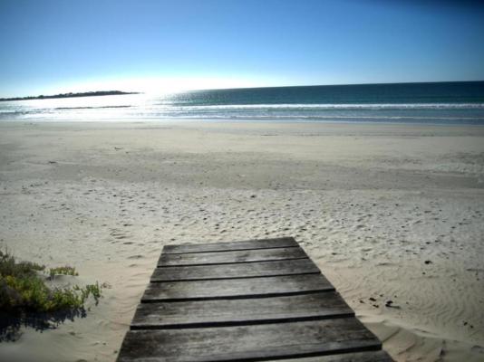 3 Dolphins - 214706