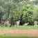 Mangwa Valley Game Lodge - 214785