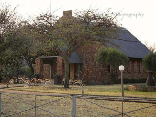 Mangwa Valley Game Lodge - 214789