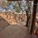 Mangwa Valley Game Lodge - 214809