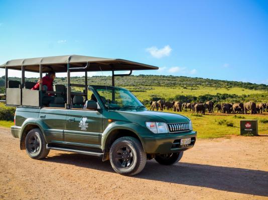 Addo Accommodation - 214858