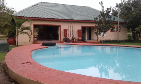 Palm Tree Lodge - 214920