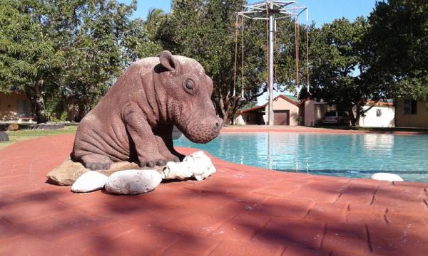 Palm Tree Lodge - 214922