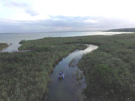 Palm Tree Lodge - 214924