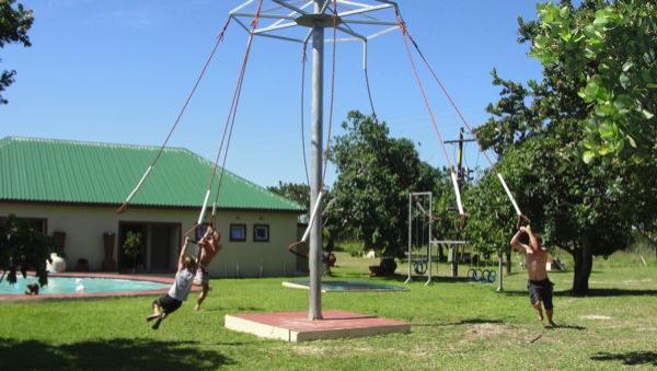 Palm Tree Lodge - 214925