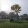 At The Nest Bed & Breakfast  - 215059