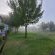 At The Nest Bed & Breakfast  - 215060