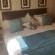Angels Haven Guesthouse - 215072