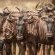 Areena Riverside Resort & Private Game Reserve - 215150
