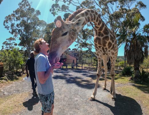 Areena Riverside Resort & Private Game Reserve - 215156