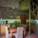 Areena Riverside Resort & Private Game Reserve - 215164