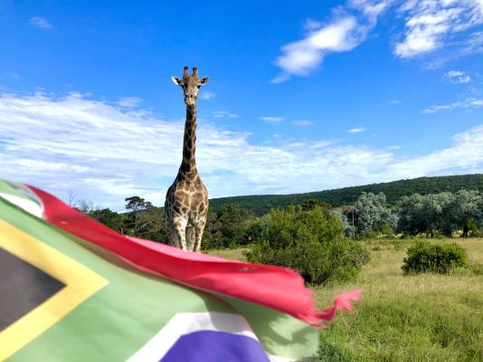 Areena Riverside Resort & Private Game Reserve - 215170