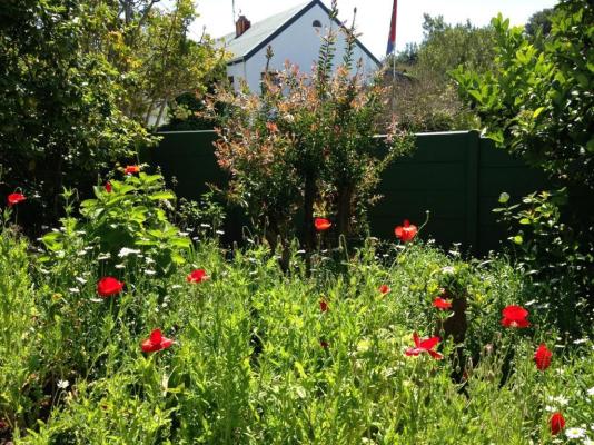 Edenwood Guest House - 215179