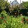 Edenwood Guest House - 215179