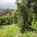 Edenwood Guest House - 215182