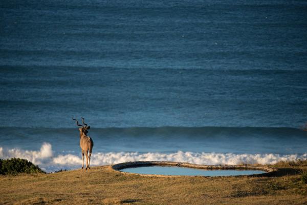 Oceana Beach & Wildlife Reserve - 215212