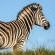 Oceana Beach & Wildlife Reserve - 215219