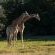 Oceana Beach & Wildlife Reserve - 215224