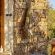 Ecca Lodge - 215400