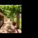 Oaksrest Vineyards Guest Farm - 215589