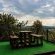 Wild Medlar Accommodation & Venue - 216003
