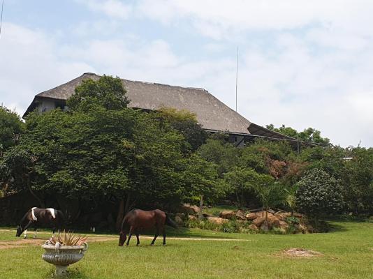 Wild Medlar Accommodation & Venue - 216013