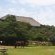 Wild Medlar Accommodation & Venue - 216013
