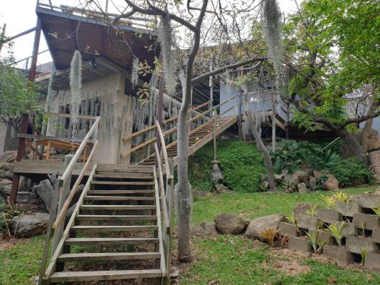Wild Medlar Accommodation & Venue - 216014