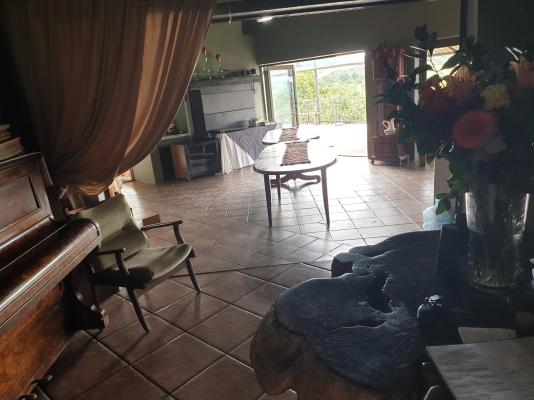 Wild Medlar Accommodation & Venue - 216015