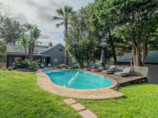 Hout Bay Gem - 216166