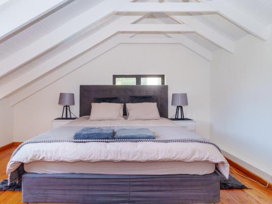Hout Bay Gem - 216194