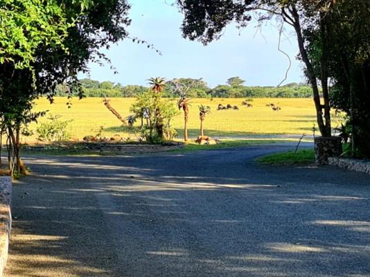 Ezulwini Game Lodge - Zululand - 216430