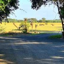 Ezulwini Game Lodge - Zululand - 216430