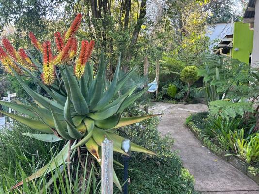 Sabie Self Catering Apartments - 216493