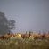 Blue Crane Farm - 216647