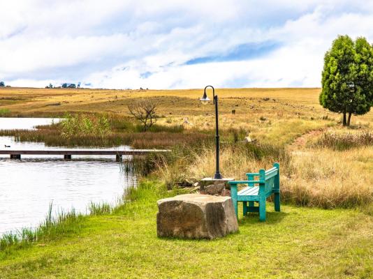 Blue Crane Farm - 216705