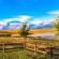 Blue Crane Farm - 216717