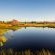 Blue Crane Farm - 216721