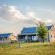 Blue Crane Farm - 216725