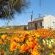 Kamieskroon Cosy Cottage - 216751