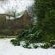 Sycamore Avenue Treehouses - 216927