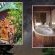 Sycamore Avenue Treehouses - 216942