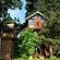 Sycamore Avenue Treehouses - 216943