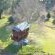 Sycamore Avenue Treehouses - 216947
